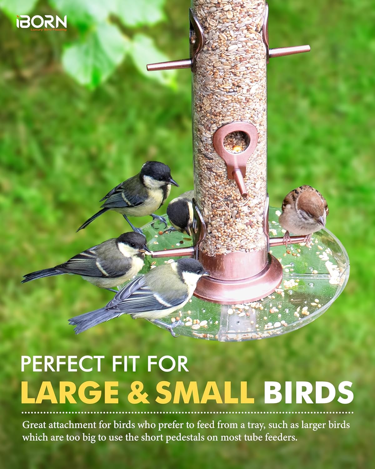iBorn Comedero para pájaros atrapador de semillas para colgar en el exterior, comedero de pájaros de 6 puertos para pájaros cardenales de metal de