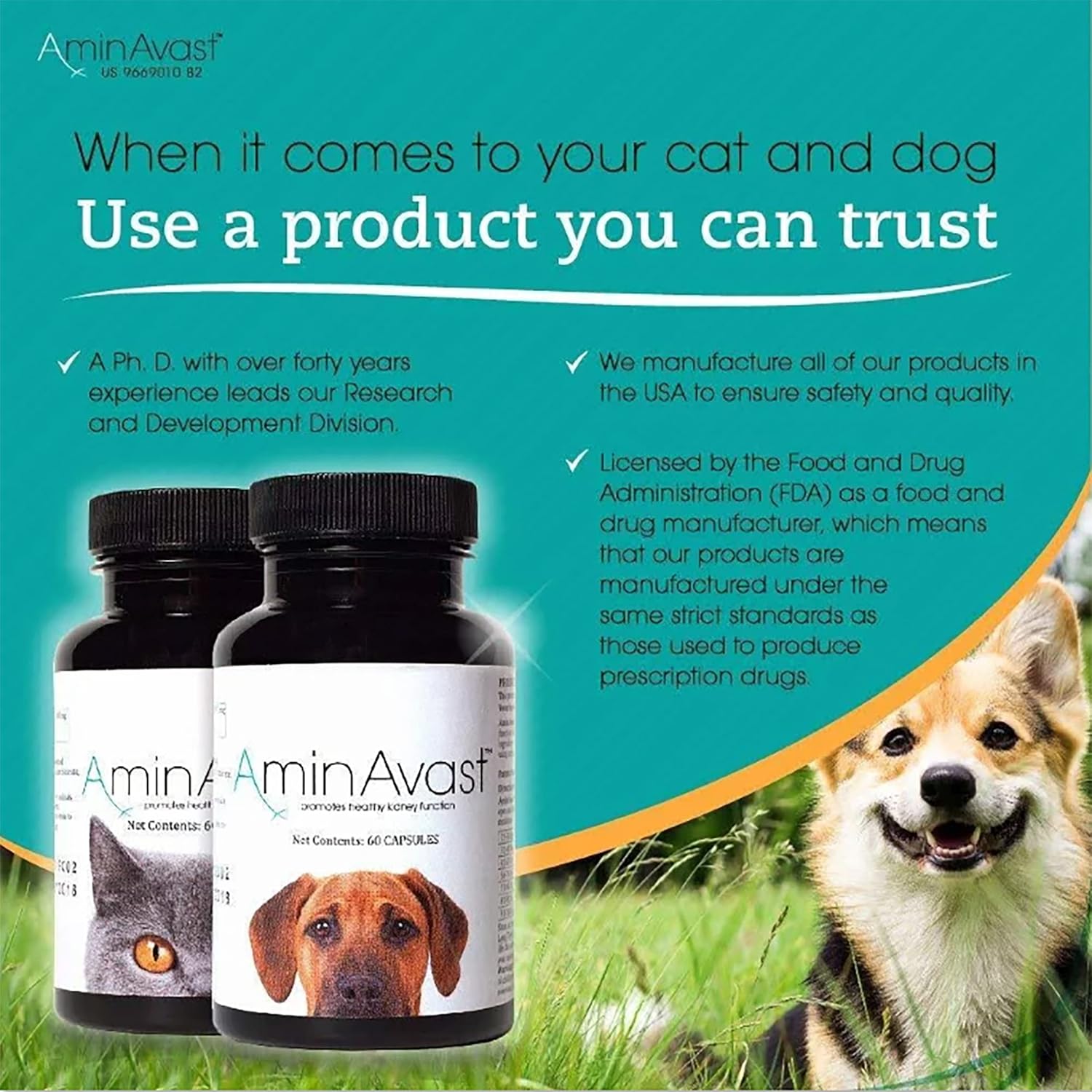 AminAvast Suplemento de riñón para perros – Apoya la función renal natural – Promueve la salud y la vitalidad del envejecimiento de los riñones –