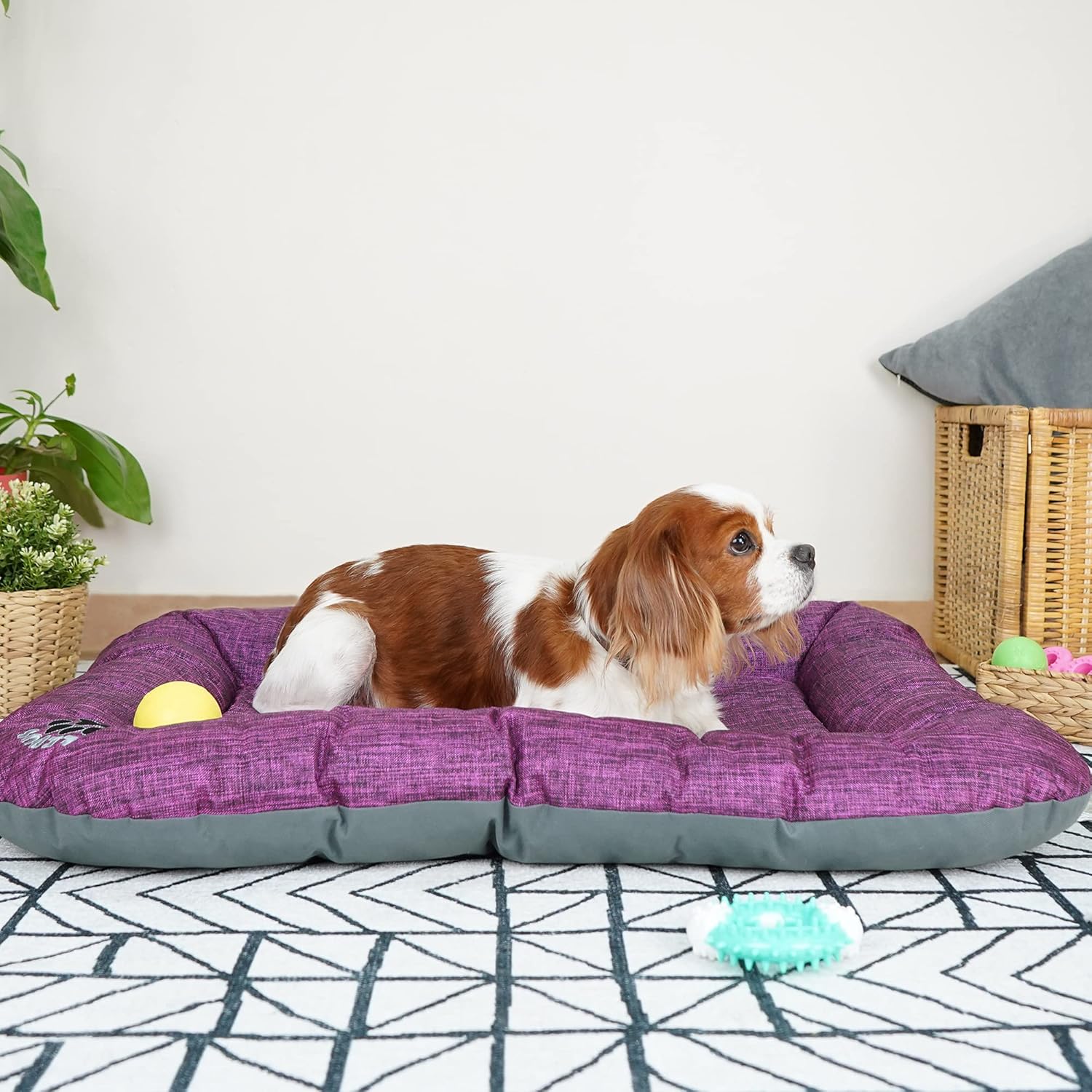 SUSSEXHOME Pets – Almohada impermeable para perros medianos, 33.5 x 26.4 x 3.95 pulgadas, resistente a desgarros, lavable, color morado