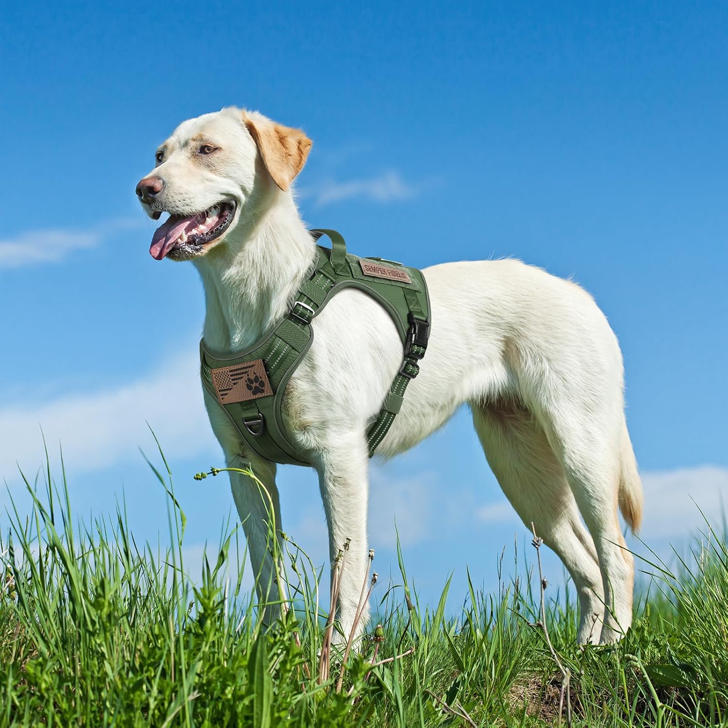 rabbitgoo Arnés para perros pequeños, medianos y grandes, chaleco de servicio táctico militar sin tirones con tiras reflectantes y asa de control,