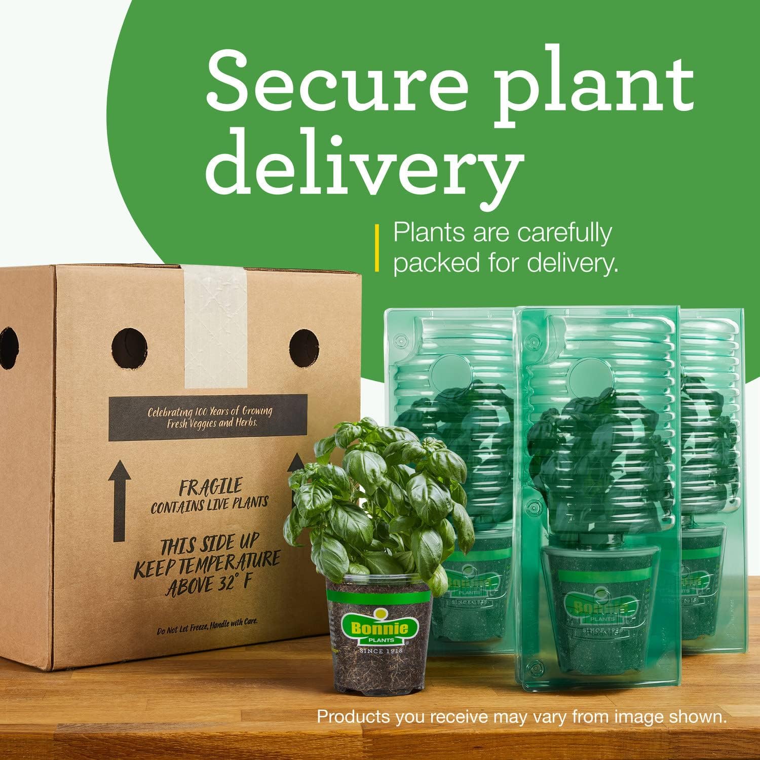 Bonnie Plants Pimienta de plátano picante 19.3 oz. paquete de 4, amarillo