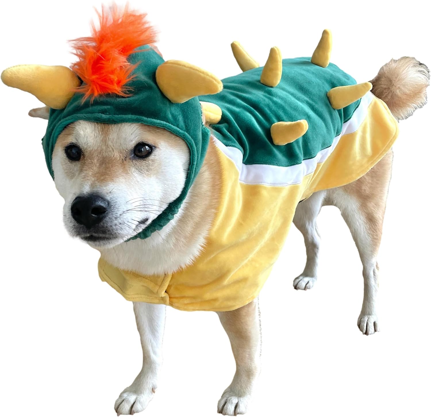 ComfyCamper Disfraz de perro con sombrero y tirantes  Disfraz de Halloween, talla XL, mediano, pequeño, estrella de laboratorio, cosplay, Halloween,