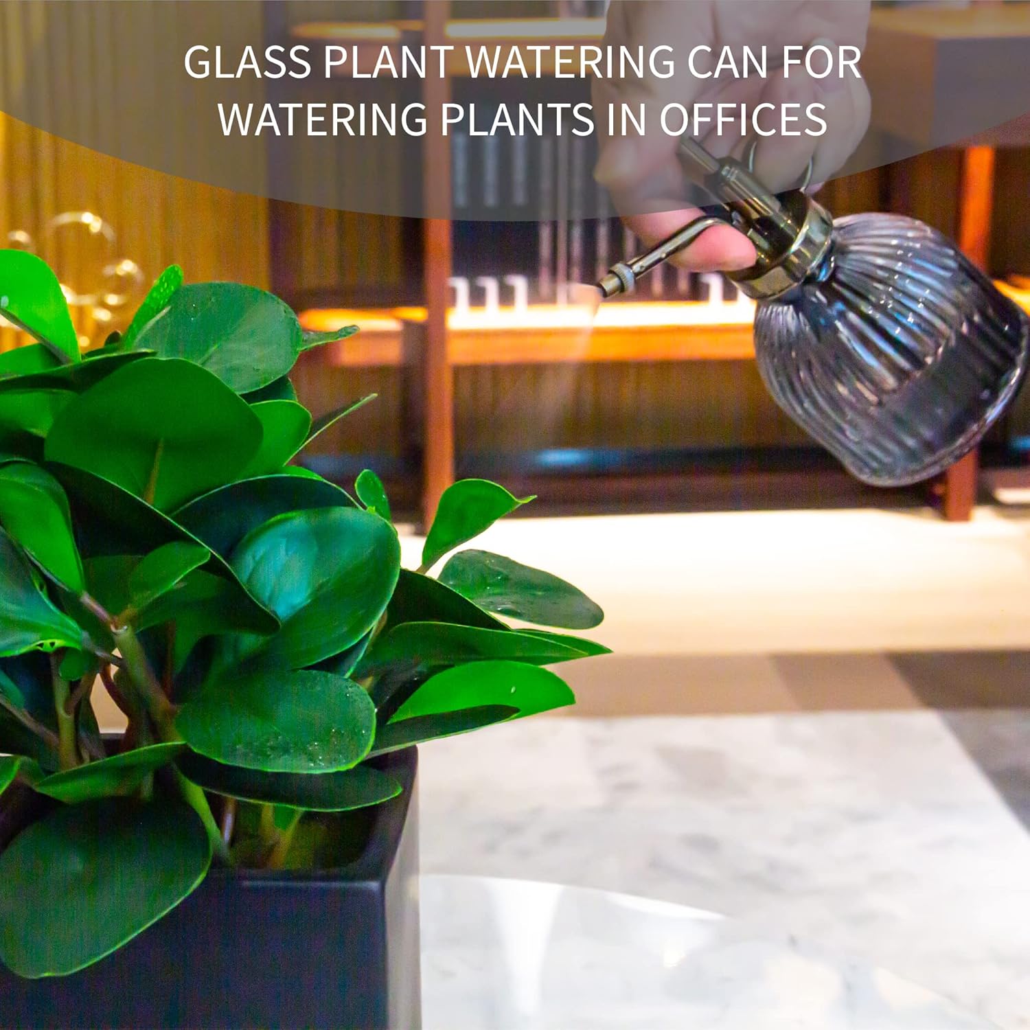 Plant Mister – Mini regadera para plantas, botella de rociador de agua para plantas, regadera de vidrio vintage para interiores y exteriores