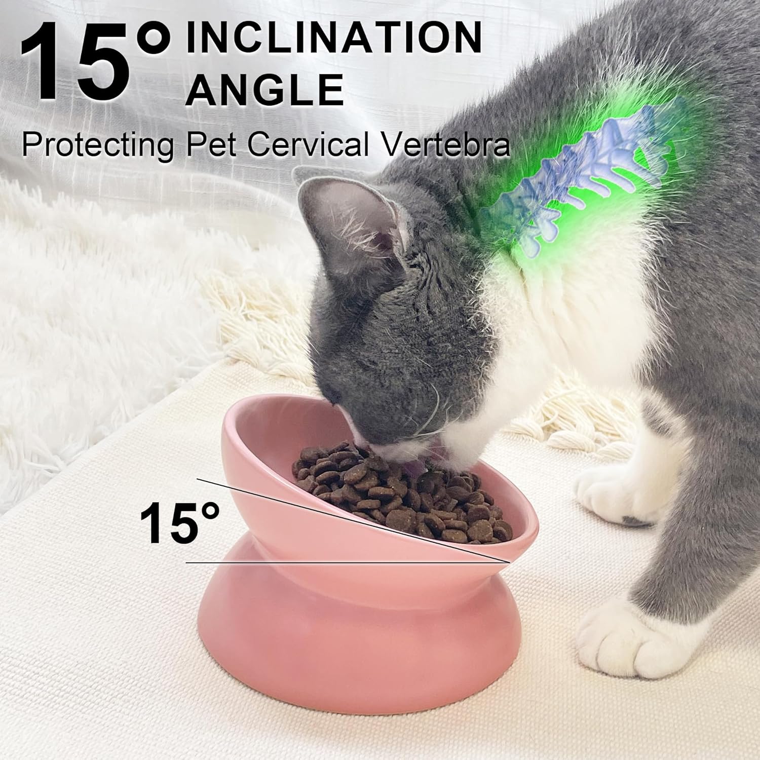 PAILUOMU – Tazones elevados de cerámica para gatos, juego de 2 cuencos elevados inclinados para alimentos y agua para mascotas, plato comedero para