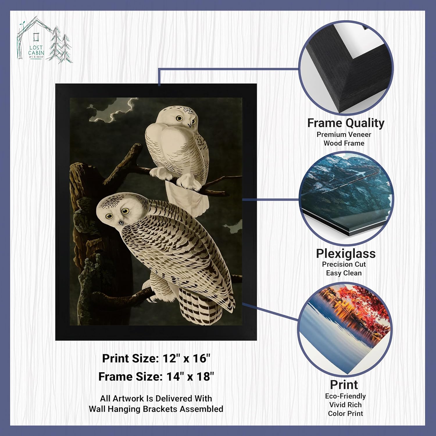 Lost Cabin Snowy Owl de James Audubon  Impresión en marco biselado negro  Reproducción de pintura de obras de arte finas  Póster decorativo