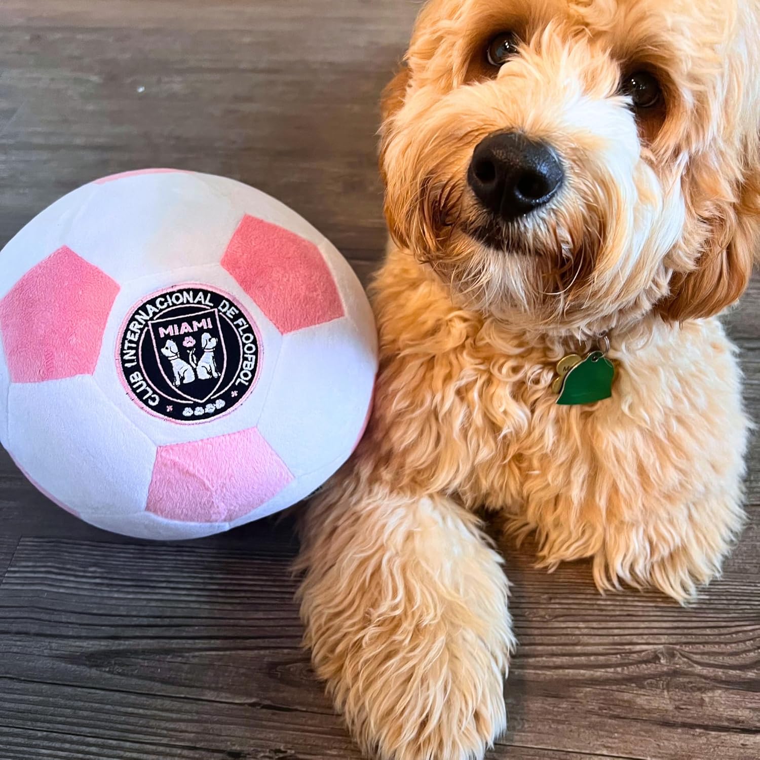Floofbol Miami – Pelota de fútbol de felpa para perros, juguete de felpa para razas pequeñas, medianas y grandes, juguete de felpa chirriante para