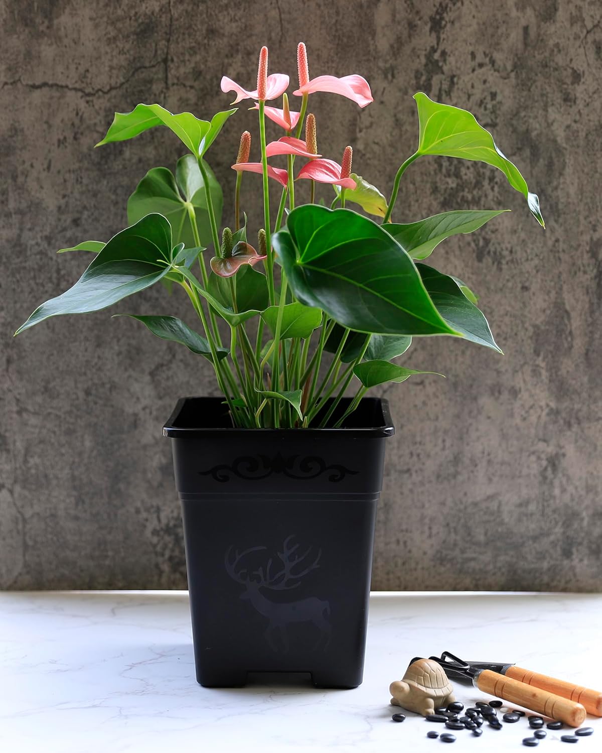 Macetas cuadradas de plástico de 2 galones para plantas de interior y exterior, paquete de 10 con agujeros de drenaje, color negro