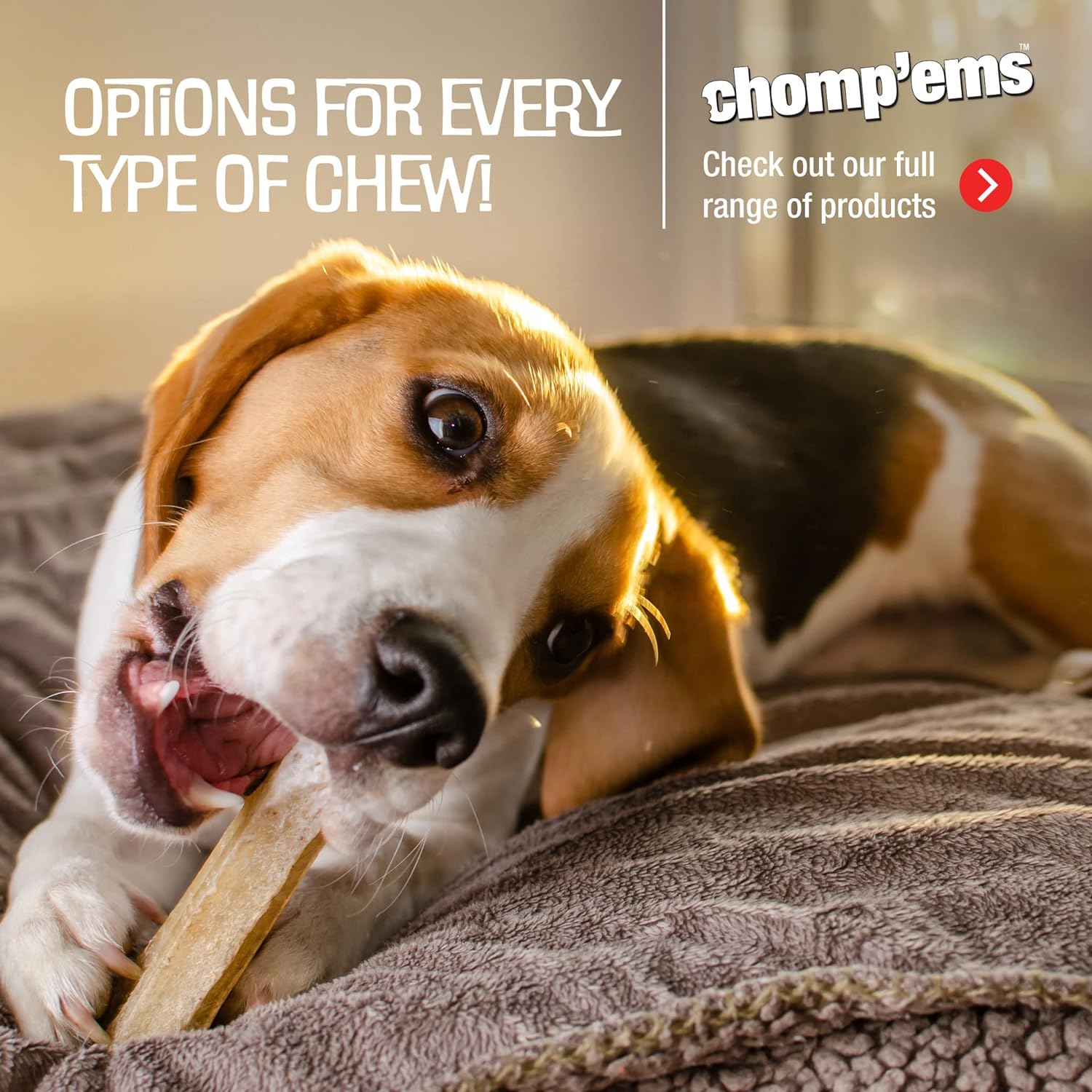 Chomp’ems – Mancuernas de pato y arroz, 4 onzas, golosinas saludables y ricas en proteínas para perros, masticables para perros