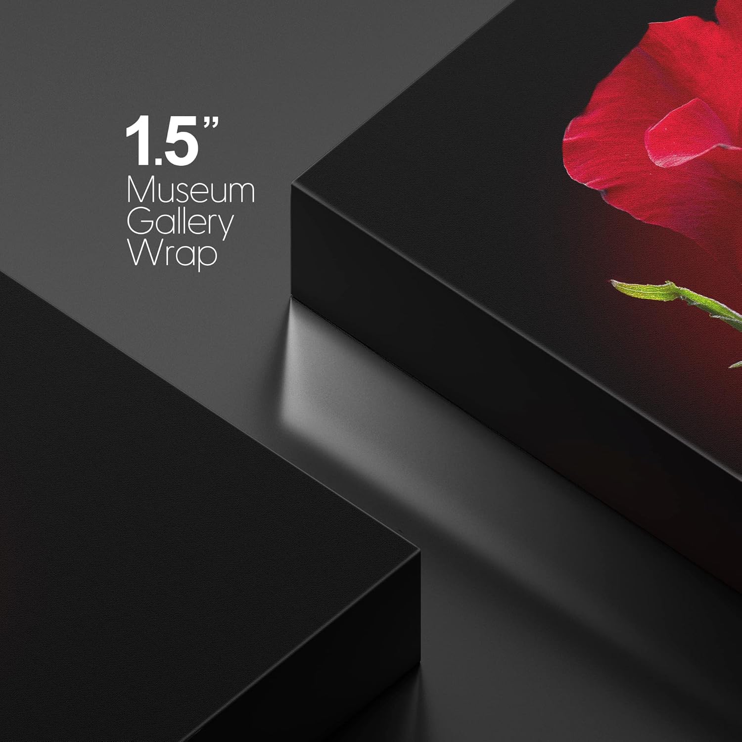 Impresiones en lienzo para pared, primer plano de rosa roja sobre fondo negro, decoración moderna de pareddecoración del hogar, lienzo estirado para