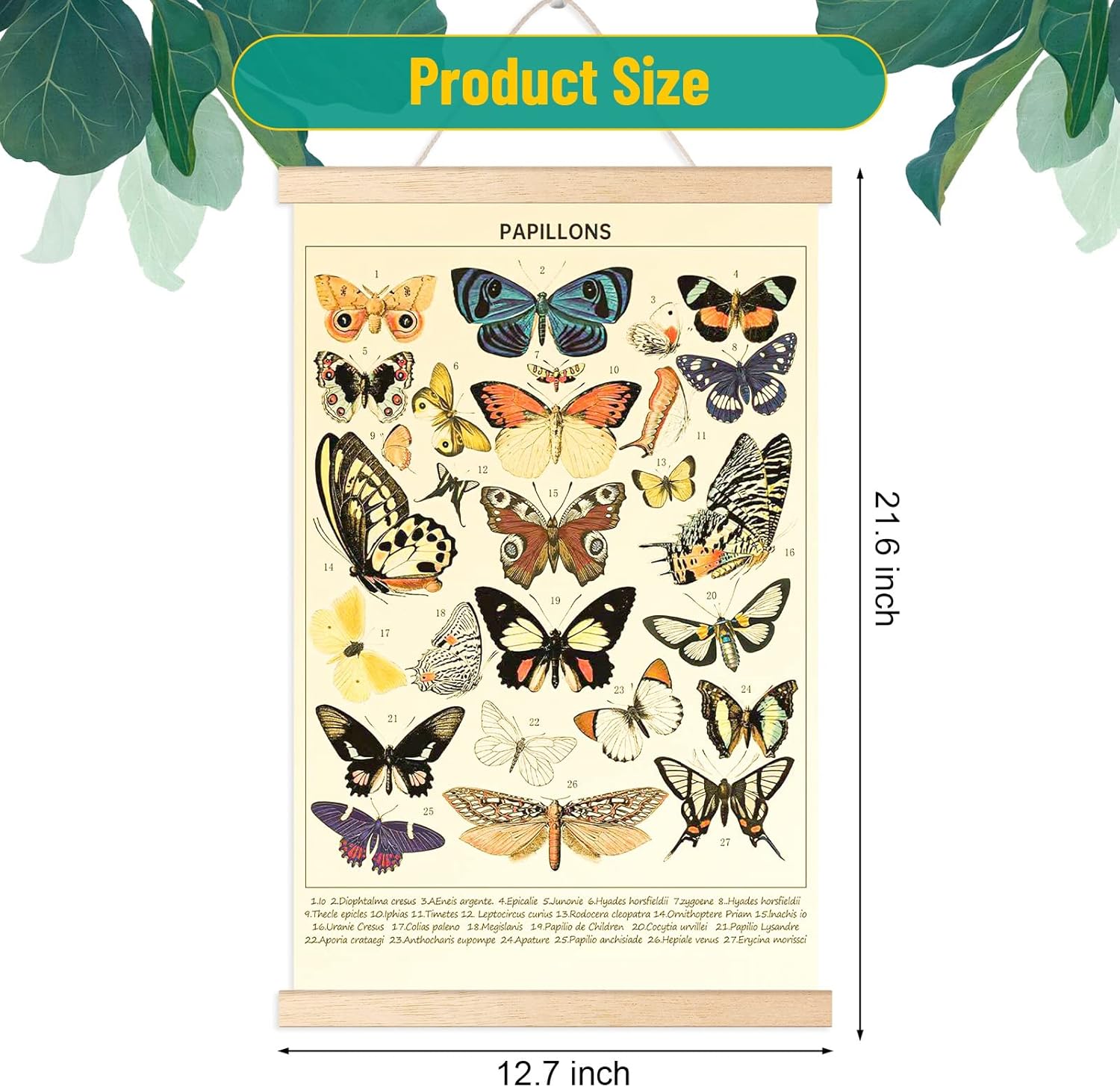 Chenkaiyang 2 carteles colgantes de mariposa vintage, para colgar en la pared, diseño de mariposa, rústico, retro, para decoración de sala de estar,