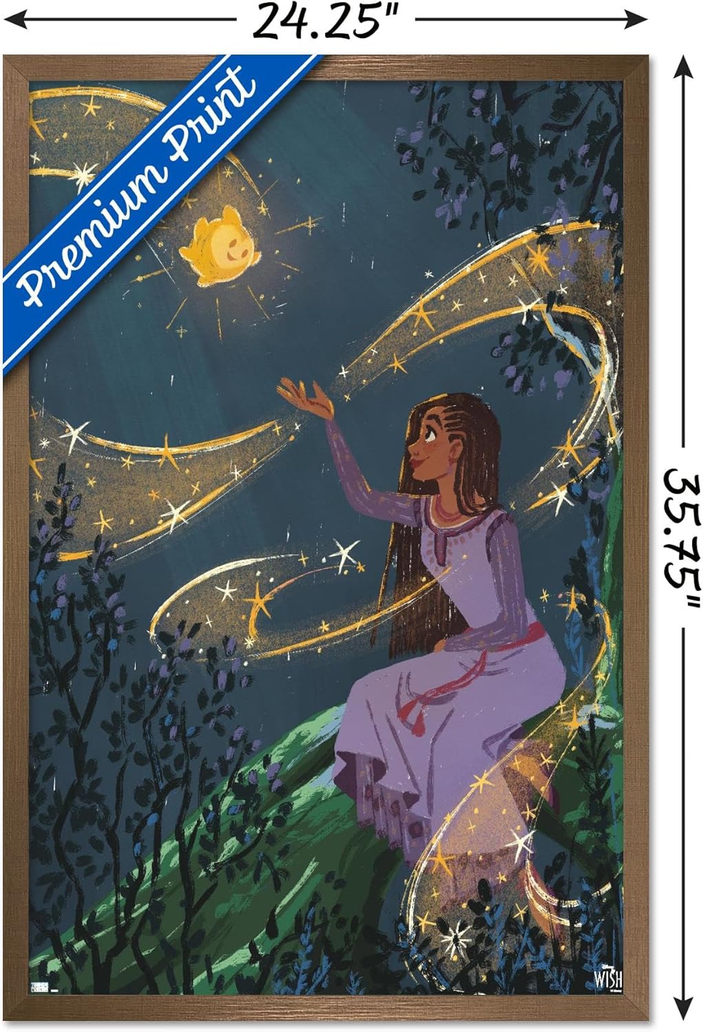Trends International Disney Wish – Póster de collage 2 (Asha & Star), póster de pared, 22.37 x 34.00 pulgadas, versión enmarcada en bronce