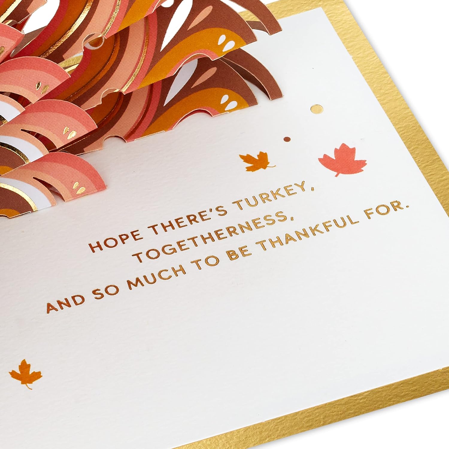 Hallmark Signature Paper Wonder Tarjeta desplegable de Acción de Gracias (Turquía)