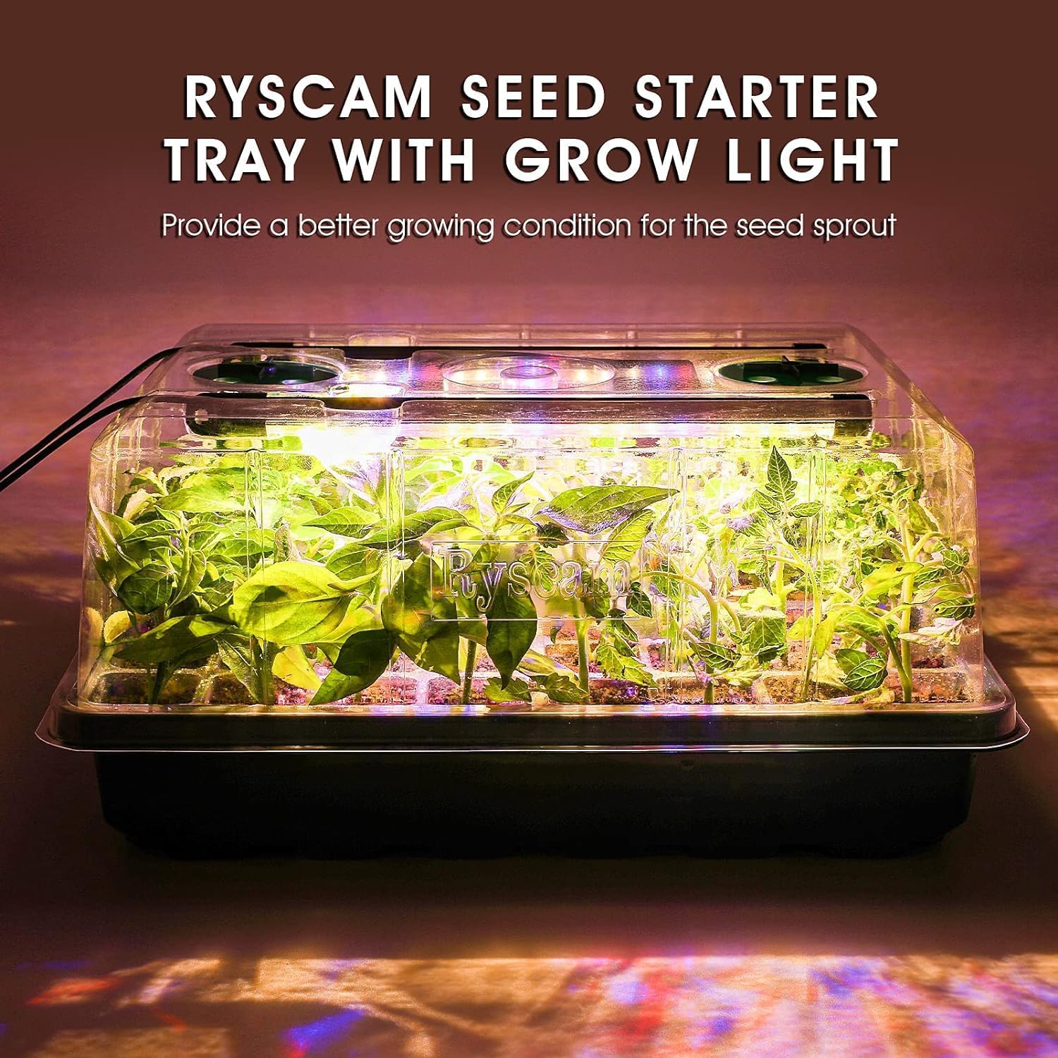 Ryscam Bandeja de inicio de semillas con luz de crecimiento, kit de inicio de semillas de 40 celdas, kit de bandejas de inicio de plántulas con