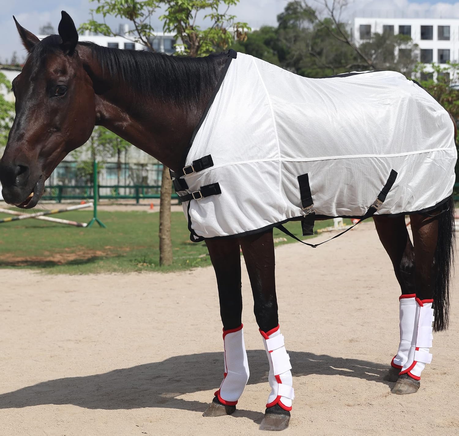 Botas de mosca de caballo, botas de caballo de mosca, perfectas para envolturas de piernas equinas y máxima protección contra moscas de caballo,