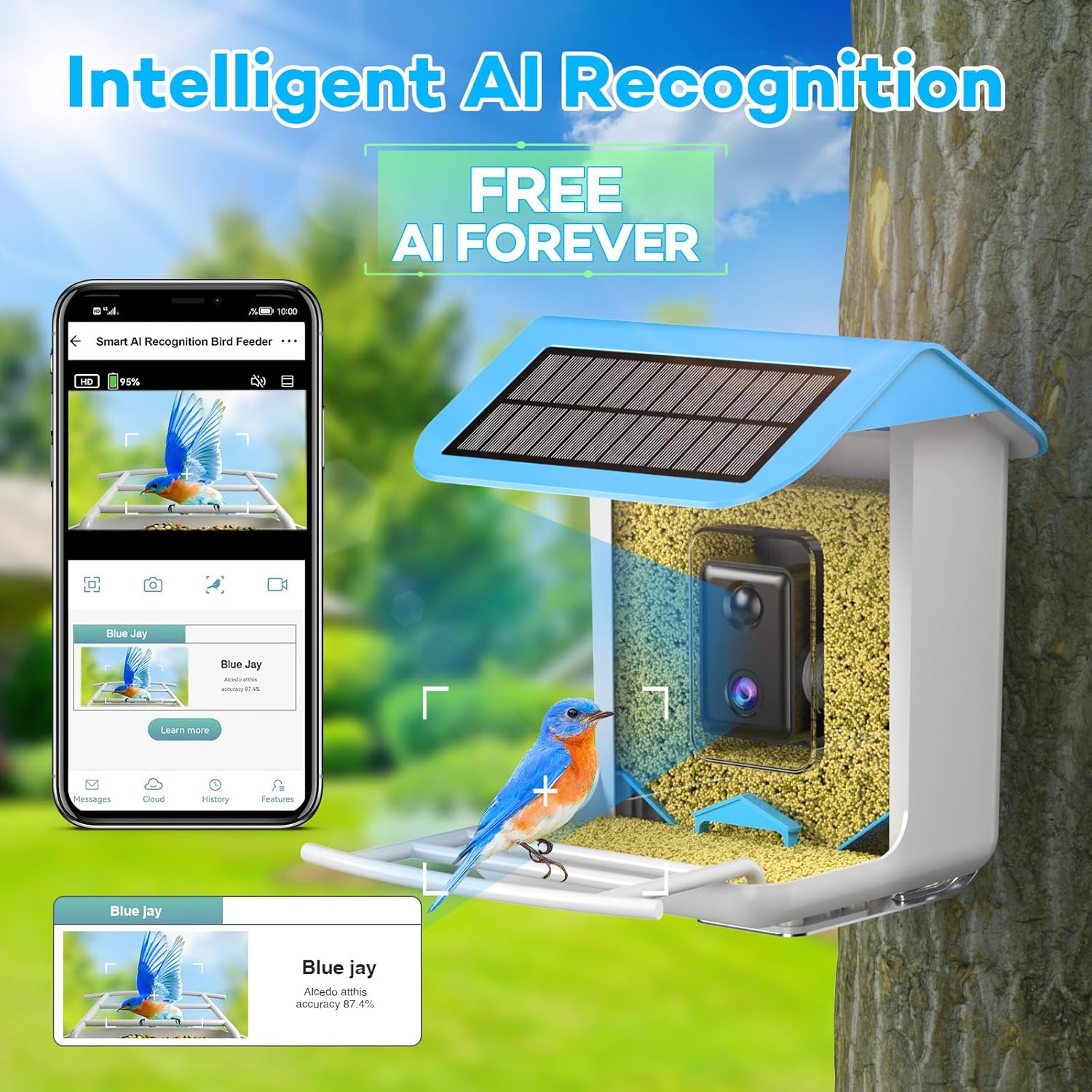 Comedero para pájaros con cámara, alimentador inteligente para pájaros con cámara, cámara de comedero de pájaros captura automática de pájaros y