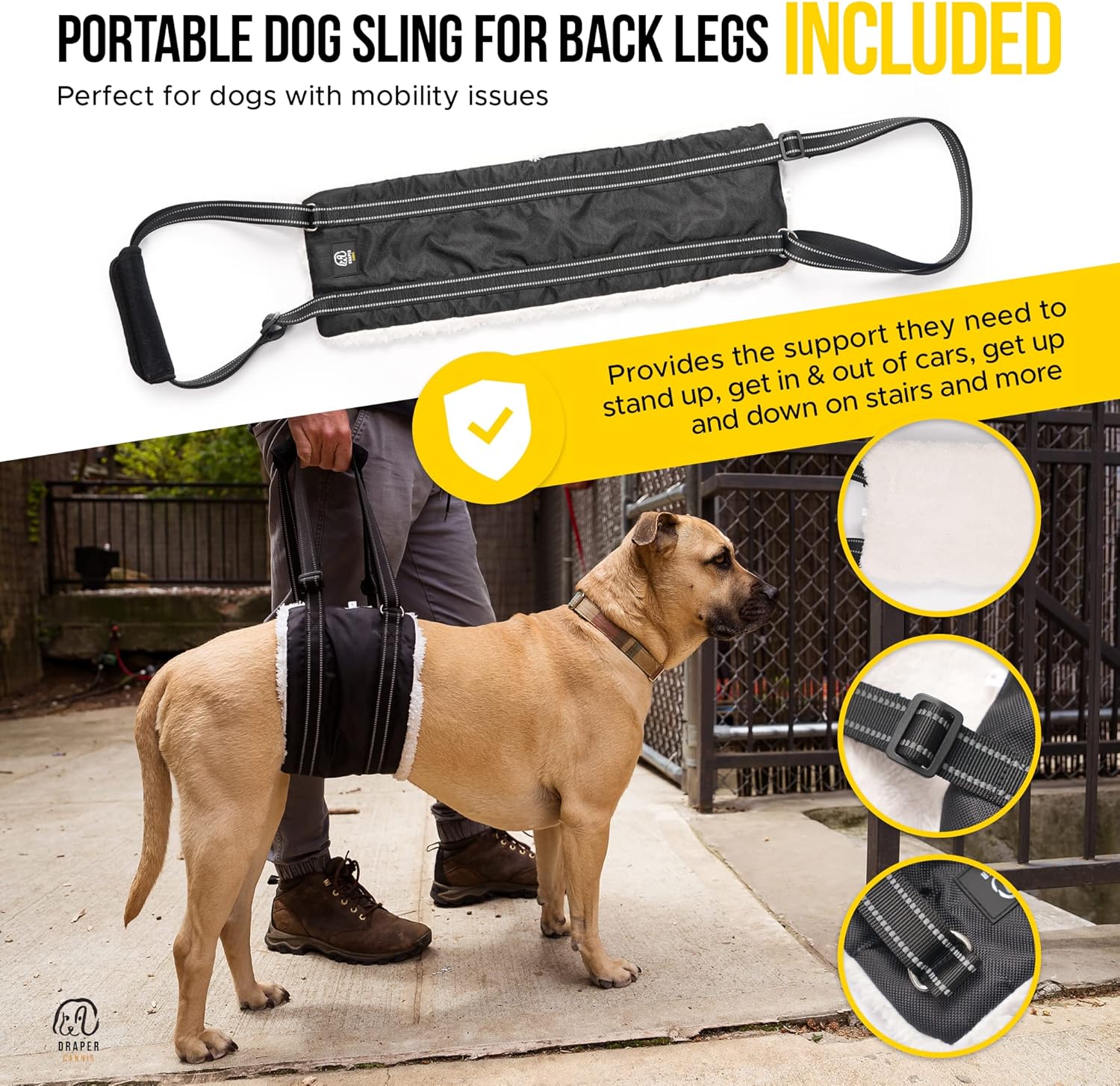 Rodillera para perro para desgarro de ligamento cruzado anterior con lesión de ligamento cruzado  Soporte ajustable para soportes de pierna trasera