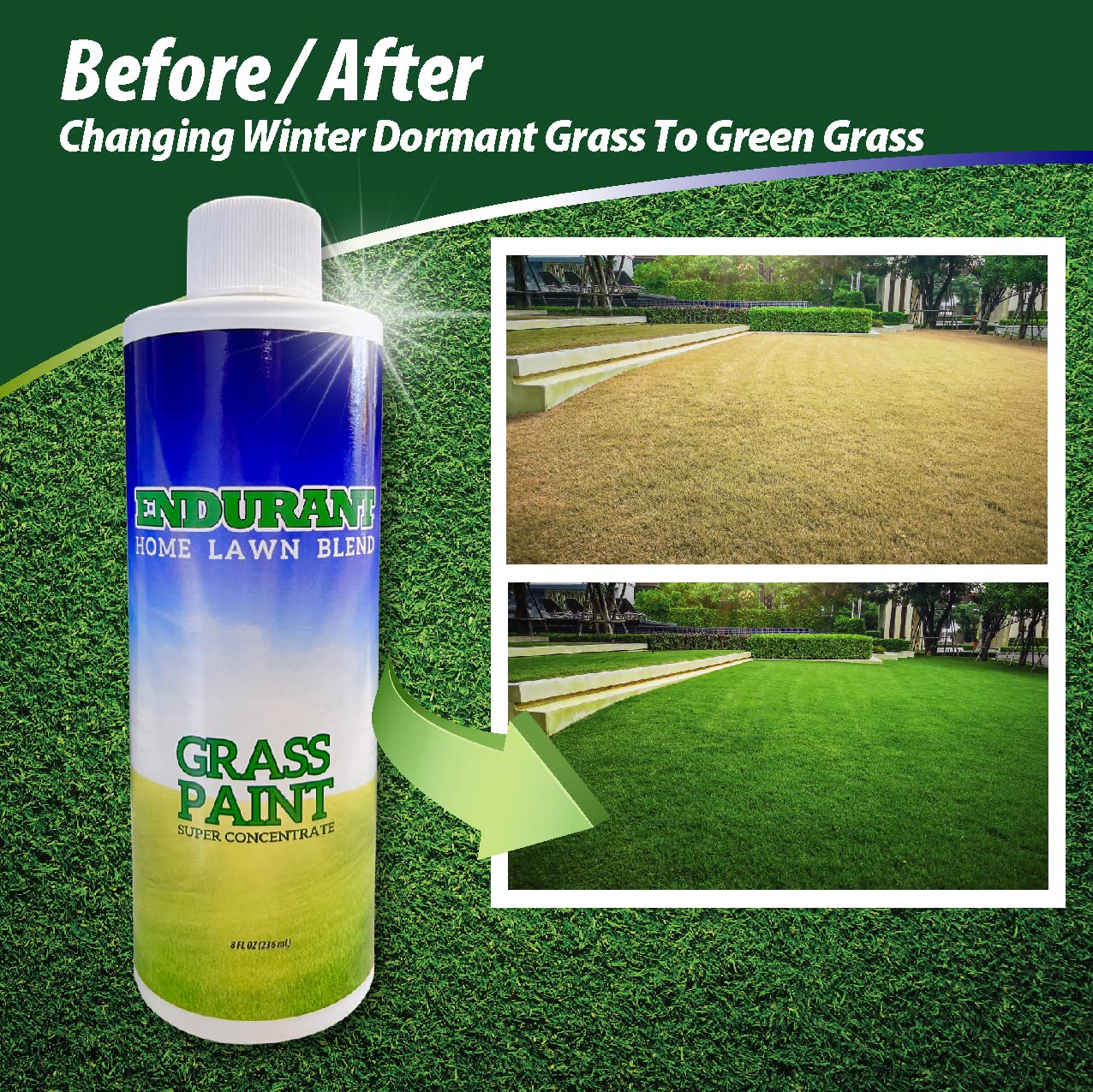 Endurant Home Lawn Blend Colorante concentrado  La pintura de césped revitaliza aproximadamente 300-700 pies cuadrados de césped inactivo, afectado