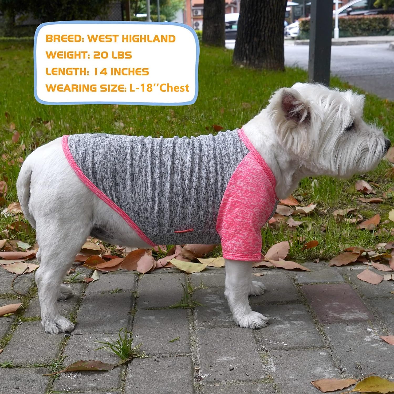 KYEESE Paquete de 2 camisas para perro de secado rápido, transpirables, ligeras, elásticas, protegen contra las colas de zorra, camiseta para perro