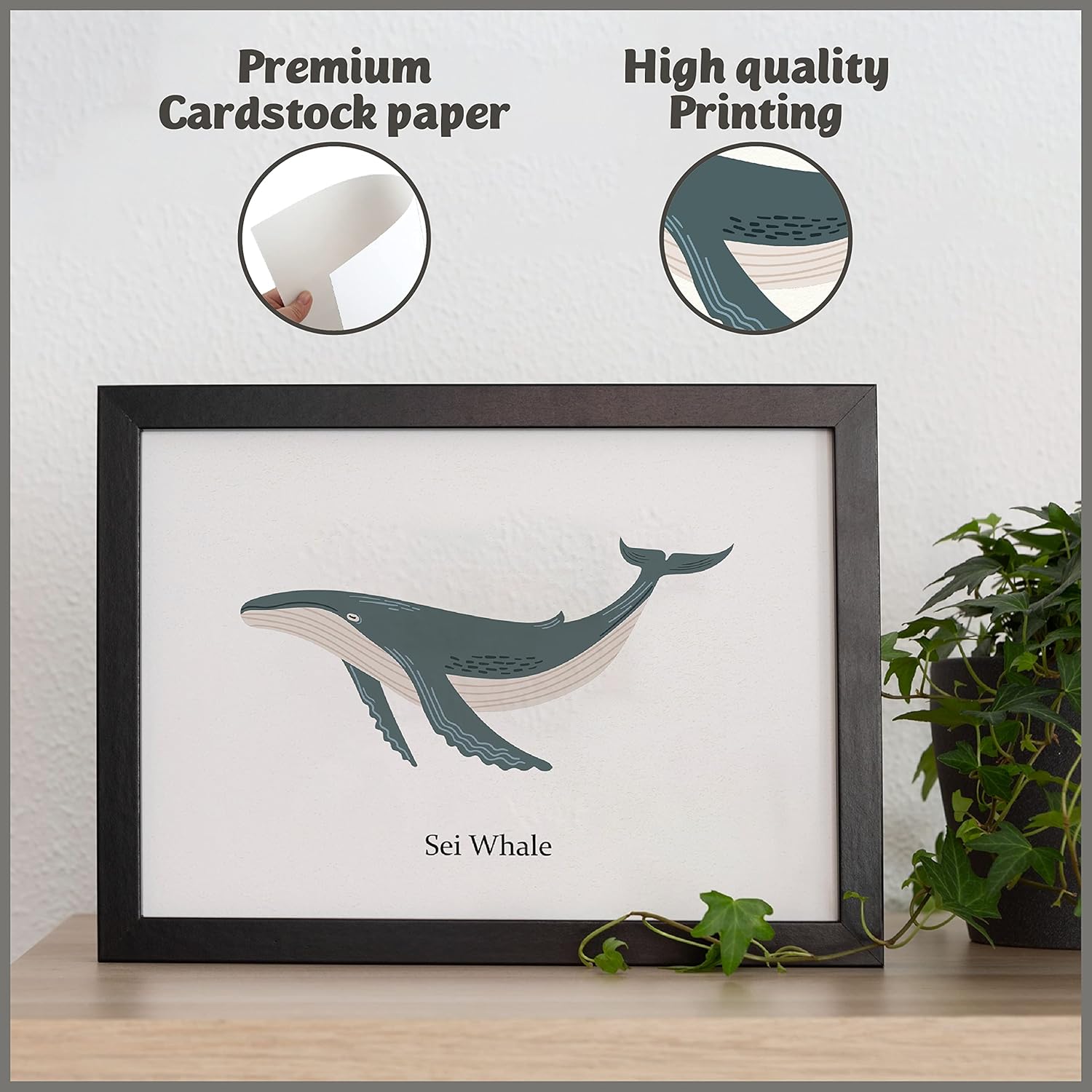 97 Decor Póster vintage de ballena  Decoración de ballena para guardería, arte de pared con estampado de ballena, imágenes de ballena Beluga para