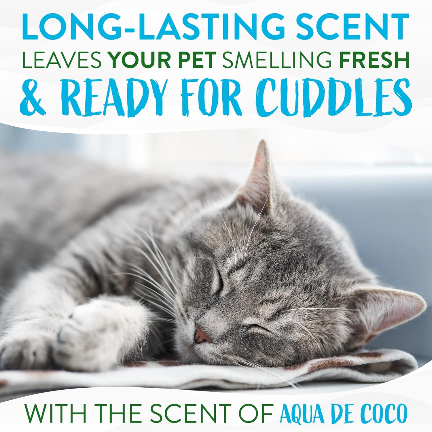 TropiClean Aqua de Coco Champú para gatos sin agua  Caspa de gato y reductor de alérgenos para gatos  Champú natural para gatos seco derivado de
