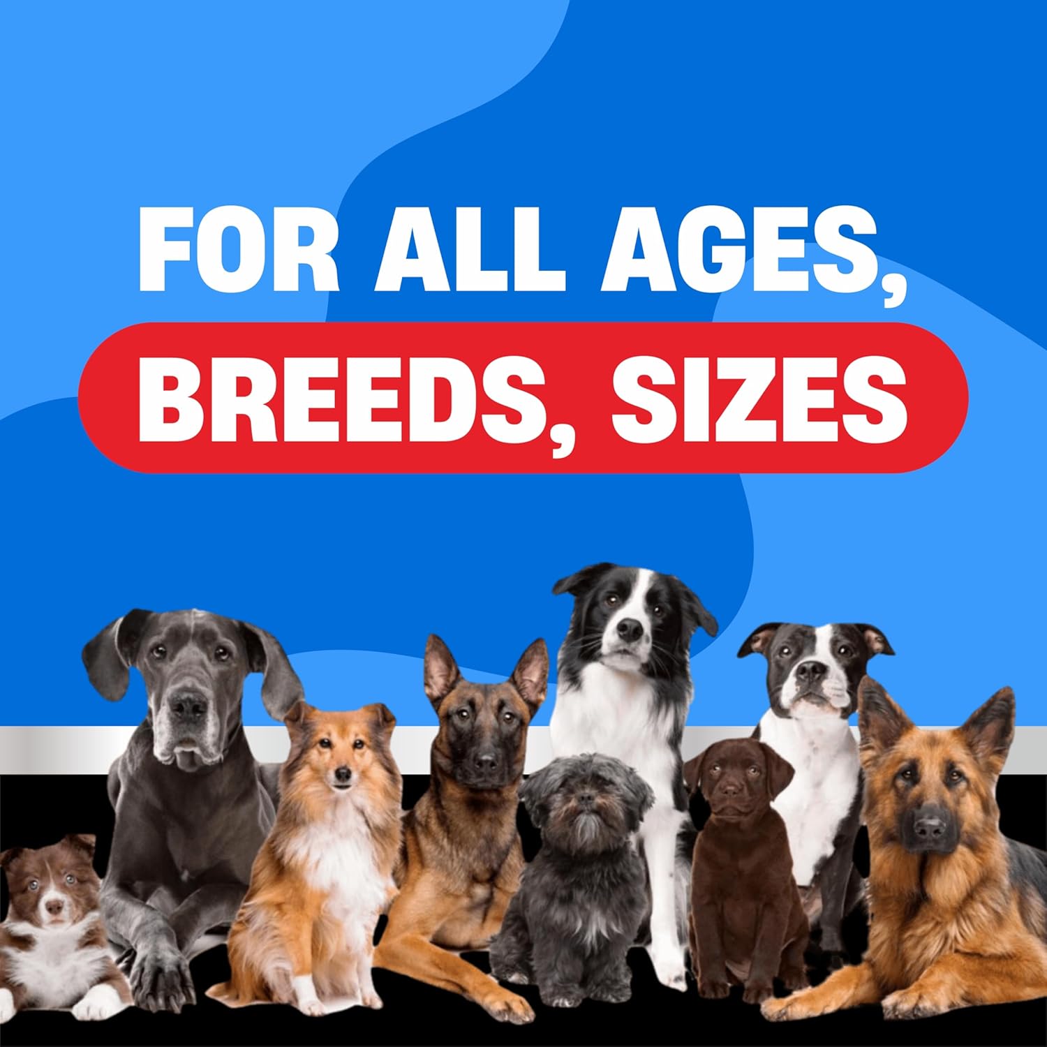 Prevención natural de pulgas y garrapatas para perros, tratamiento masticable para pulgas y garrapatas, tratamiento seguro contra pulgas para perros