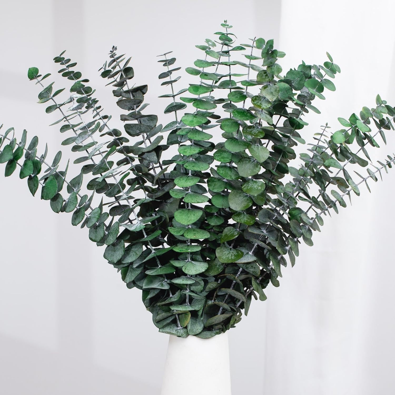16 tallos de eucalipto secos, ramas de hojas de eucalipto frescas naturales de 17 pulgadas, ramas para colgar para la ducha, planta de eucalipto