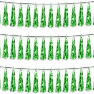 Guirnalda de flecos metálicos con flecos de papel de aluminio verde 3P para flotadores de desfile, despedida de soltera, boda, cumpleaños, Guirnalda de flecos metálicos con flecos de papel de aluminio verde 3P para flotadores de desfile, despedida de soltera, boda, cumpleaños,