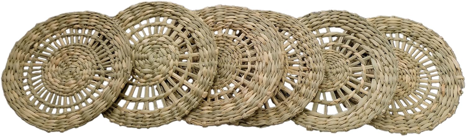 Juego de 6 posavasos de hierba marina con soporte, posavasos hechos a mano, posavasos de algas marinas tejidas naturales, posavasos de jacinto de