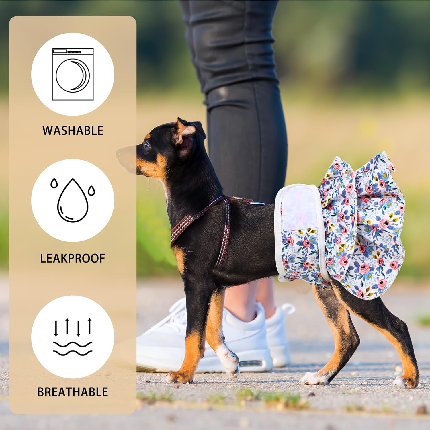 3 pañales lavables para perras, pañales reutilizables de primera calidad con correas ajustables absorbentes y barreras a prueba de fugas, pañales