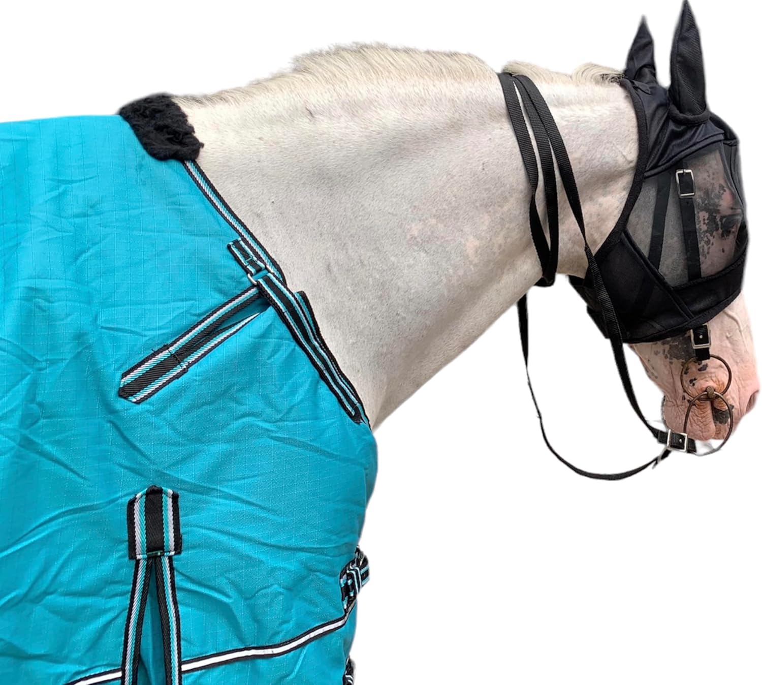 Majestic Ally Manta 1200D Ripstop Horse Turnout de 250 GSM relleno (turquesa, 80 pulgadas)