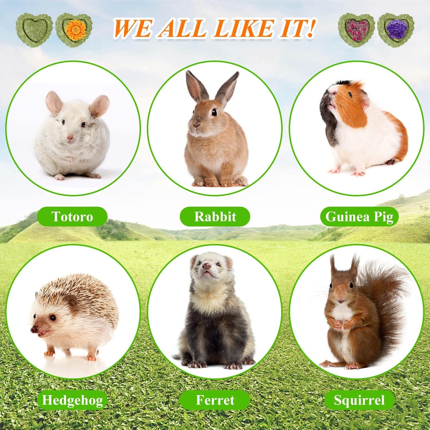20 juguetes masticables de conejo, juguetes de conejo para dientes de conejo, pasteles de heno Timothy naturales para conejos, chinchilla, hámster,