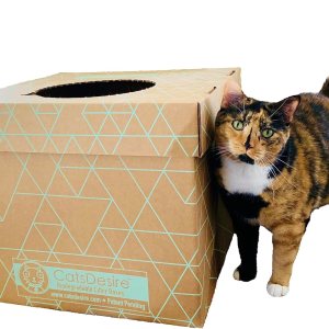 Caja de arena desechable con entrada superior o lateral, 4 juegos (15 pulgadas de alto cada uno) Caja de arena desechable con entrada superior o lateral, 4 juegos (15 pulgadas de alto cada uno)