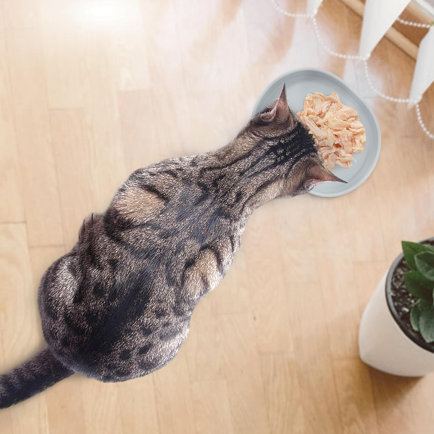 bebeibon Cuencos de silicona para perros, cuencos antideslizantes para comida para perros, cuencos para alimentación de gatos, cuenco para mascotas