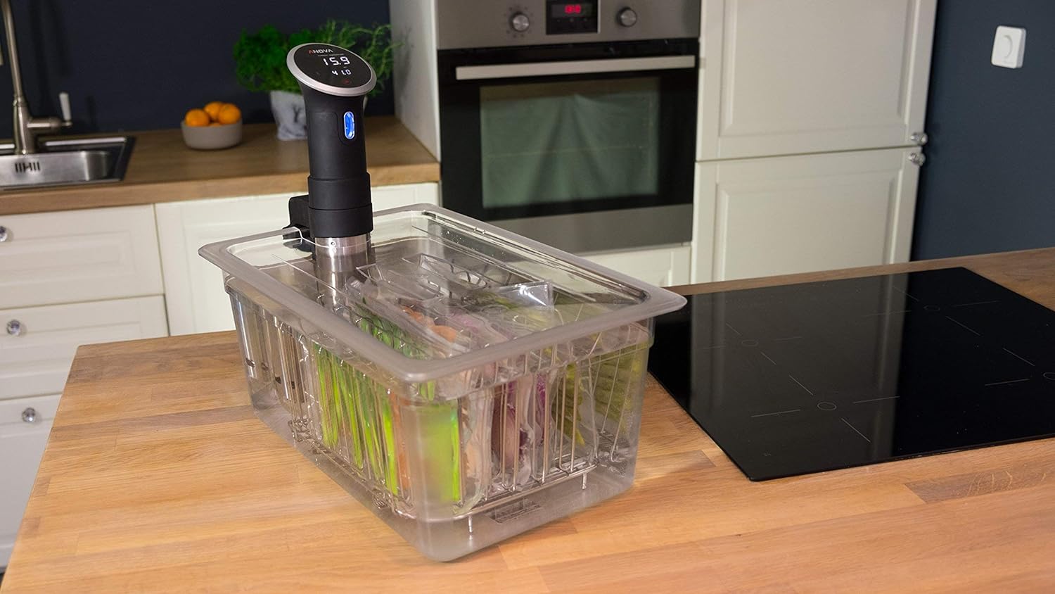 LIPAVI Baño de agua C15 Sous Vide de 19 cuartos de galón