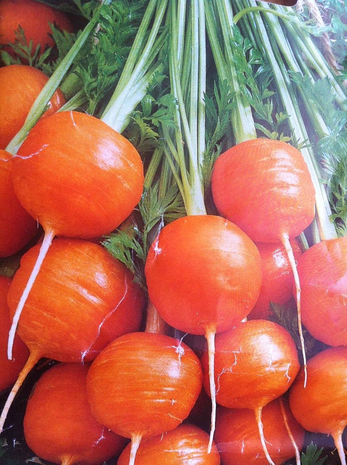 Semillas Sweet Zanahoria Mercado París Rojo Vegetal Heirloom para plantar sin OMG – 1000 semillas