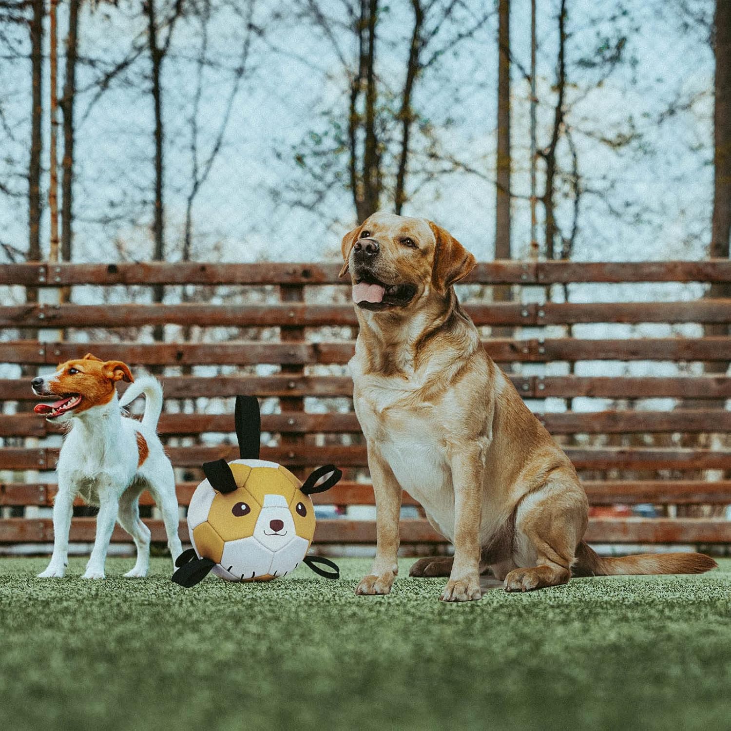 Balón de fútbol grande para perros con pestañas  Pelota de pastoreo de 8 pulgadas para perros  Pelota grande para perros  Pelota de fútbol duradera