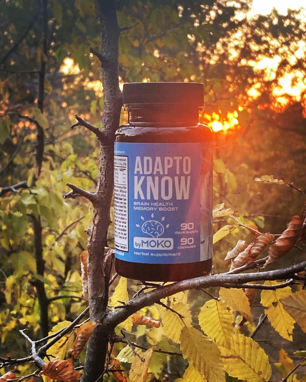 AdaptoKNOW Suplemento cerebral para memoria, concentración y concentración  Ashwagandha Ginkgo Biloba Siberian Ginseng Siberiano Nootropics