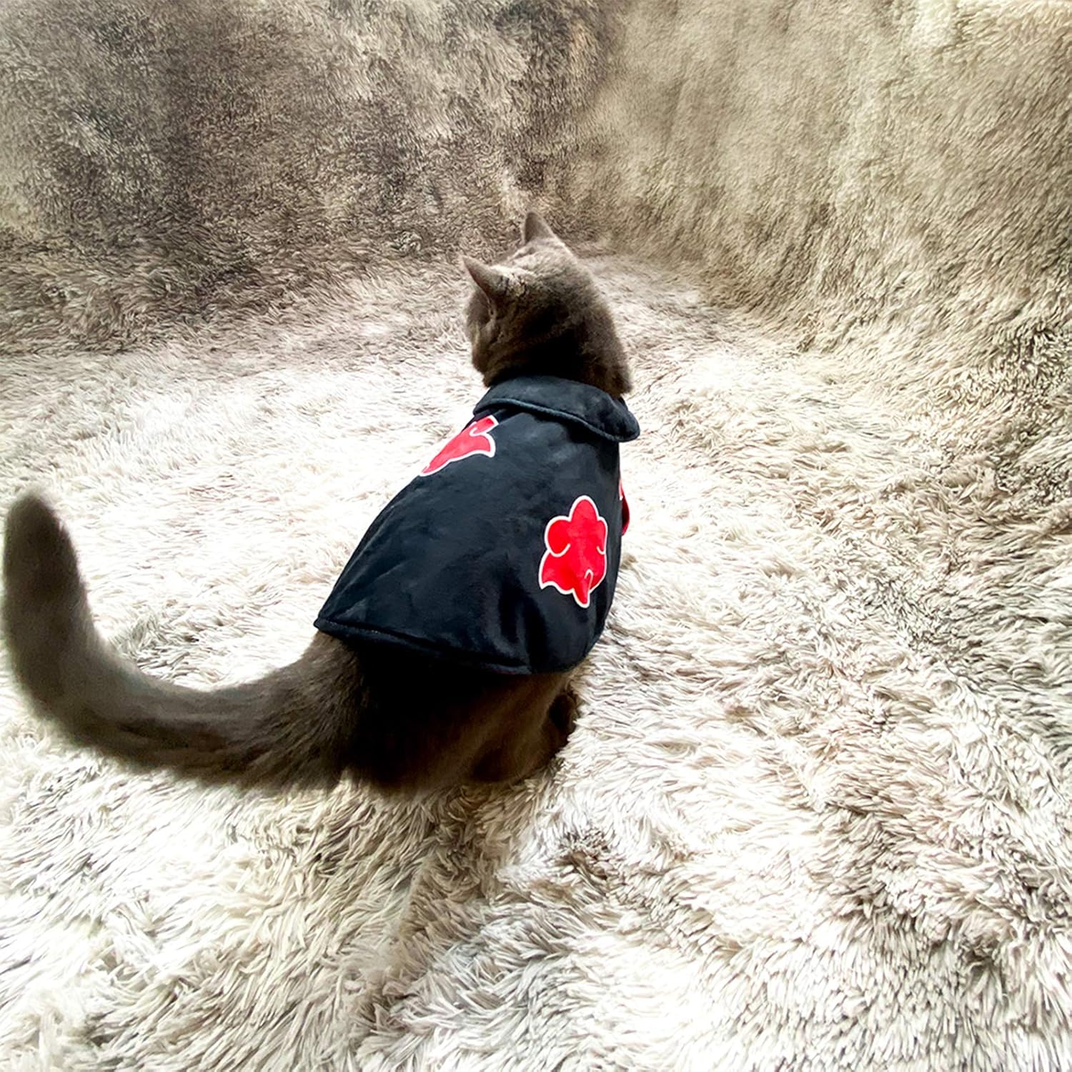 Disfraz de capa de gato de animé de Halloween, ropa para mascotas, cachorro cosplay, capa de ninja de felpa de Navidad, linda capa para disfraz de