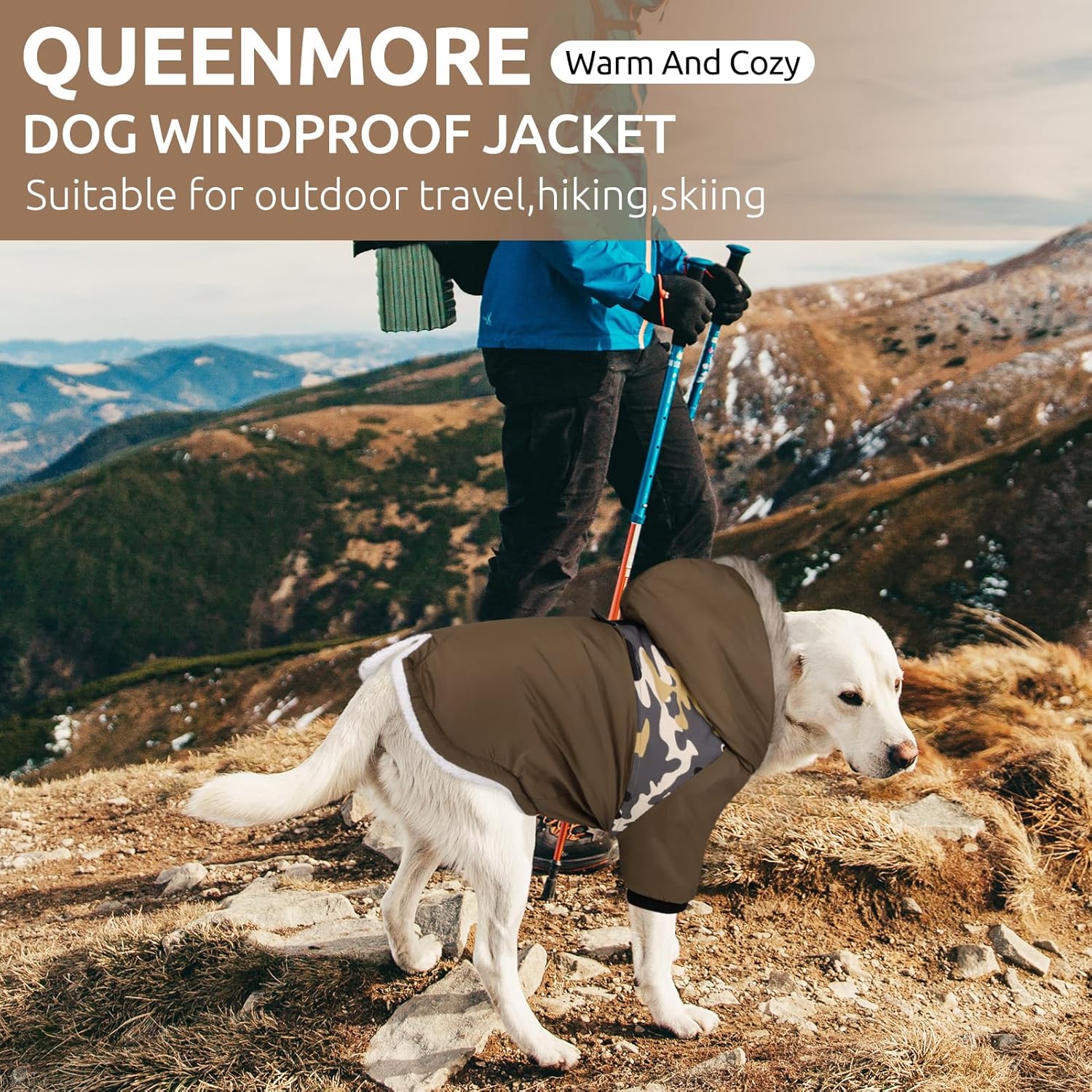 Queenmore Abrigo cálido de invierno para perro, impermeable para clima frío, chaqueta de nieve para perro, sudadera reflectante con capucha para