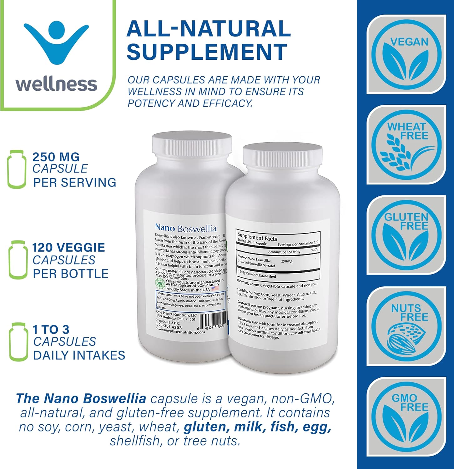 One Planet Nutrition Nano Boswellia 250mg – Suplemento de nanopartículas, suplemento de incienso – Suplementos de apoyo y vitaminas a base de
