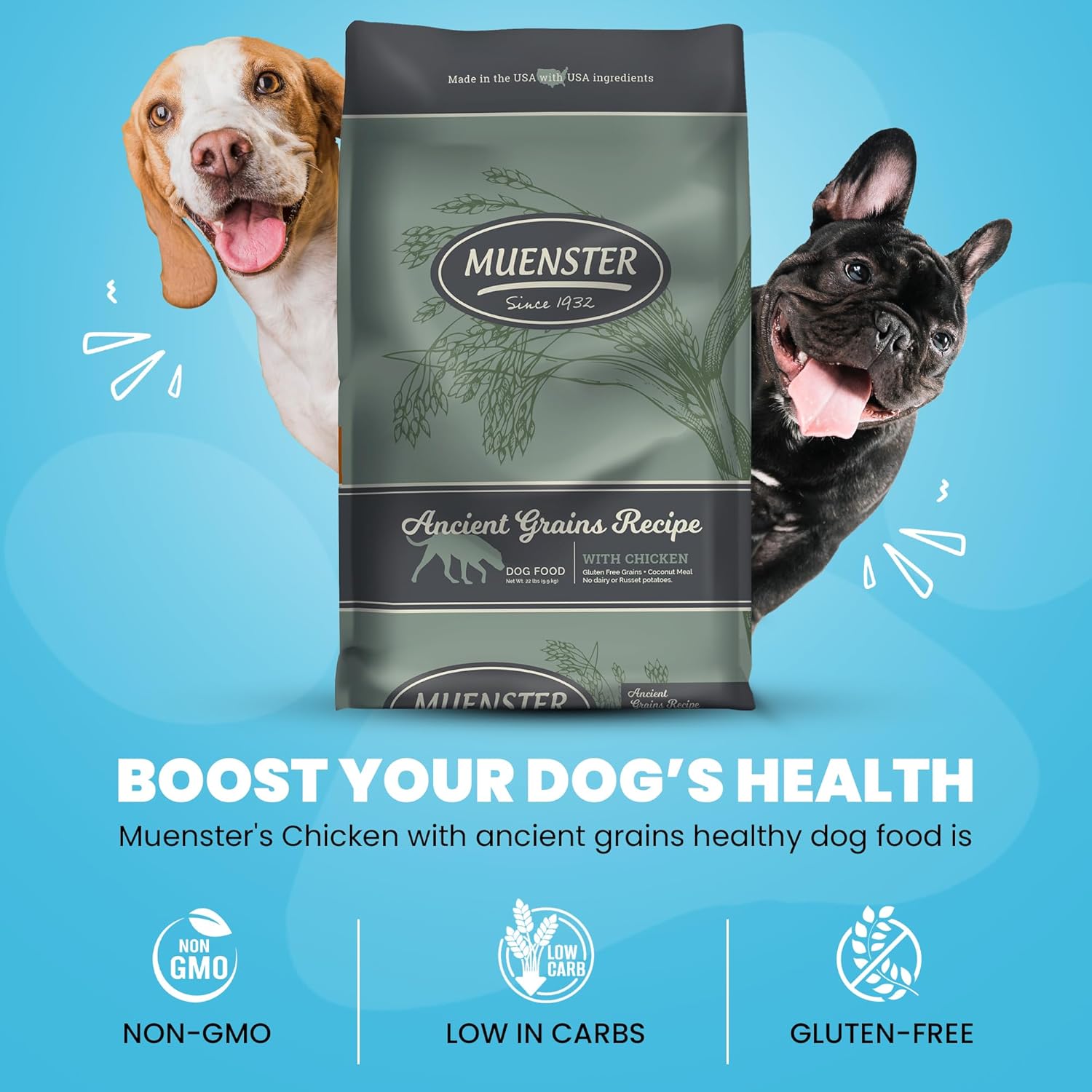 Muenster Ancient Grains – Alimento seco para perros grandes con sabor a pollo (22 libras), sin gluten, sin OMG, con alto contenido de proteínas,