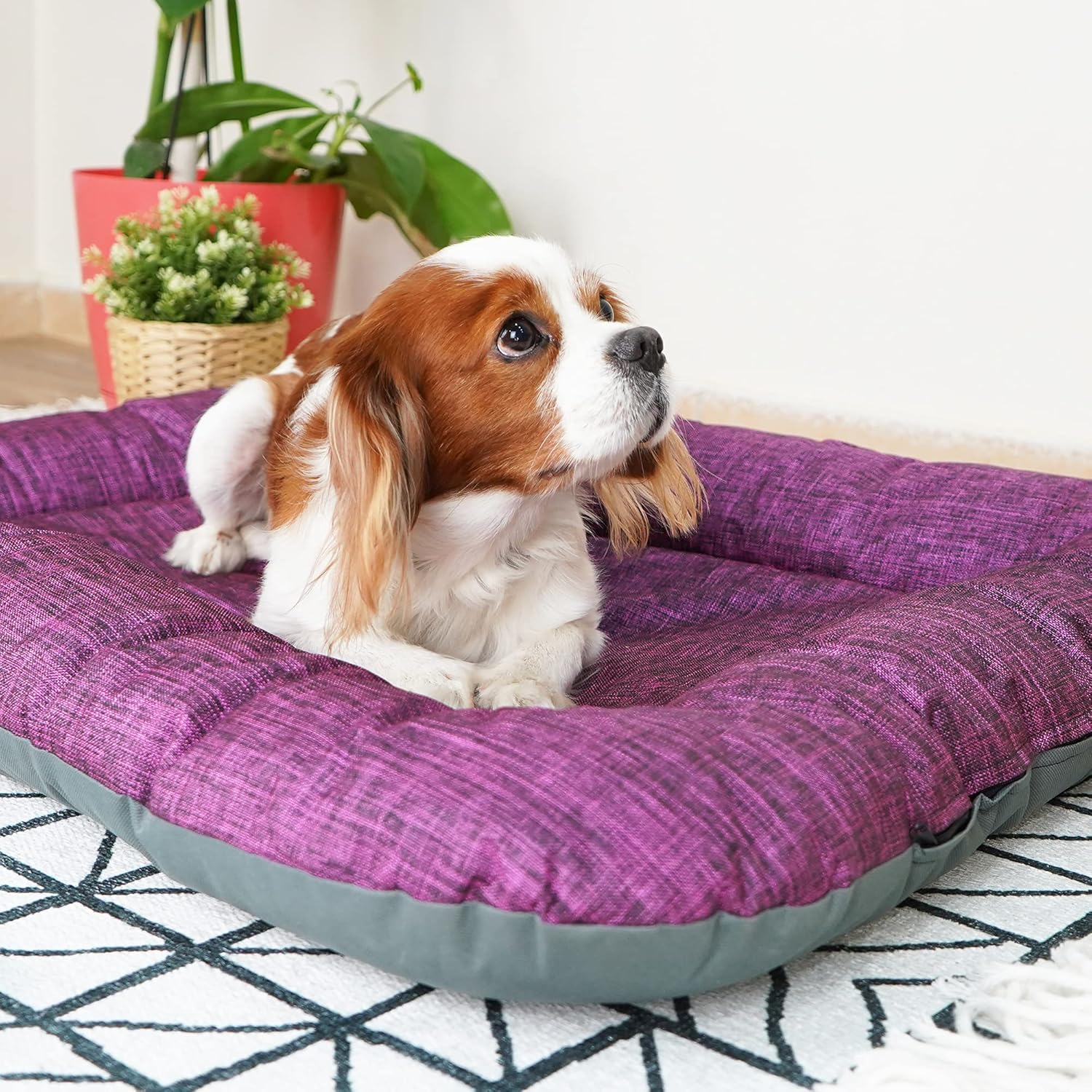 SUSSEXHOME Pets – Almohada impermeable para perros medianos, 33.5 x 26.4 x 3.95 pulgadas, resistente a desgarros, lavable, color morado