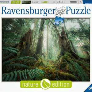 Ravensburger Puzzle Nature Edition 17494 Fascinating Forest – Rompecabezas de 1000 piezas para adultos y niños a partir de 14 años Ravensburger Puzzle Nature Edition 17494 Fascinating Forest – Rompecabezas de 1000 piezas para adultos y niños a partir de 14 años