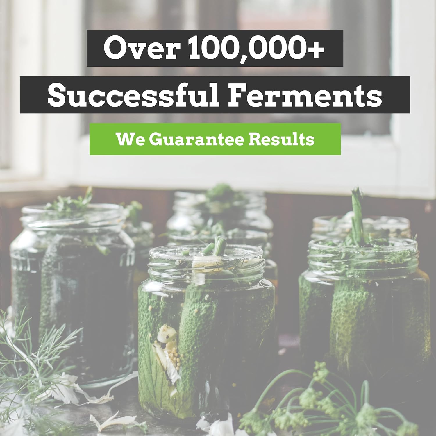 Nourished Essentials Tarro de fermentación – Chucrut, Onggi, contenedores de kimchi – Cerámica fermentadora con tapa y pesos – Cerámica para vinagre