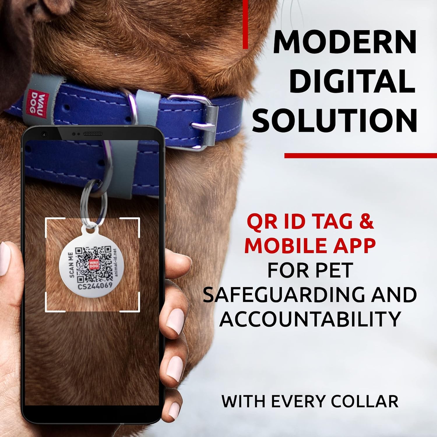 WAUDOG Collar de cuero de larga duración para perros grandes, medianos y pequeños  Collares clásicos ajustables para cachorros de raza grande