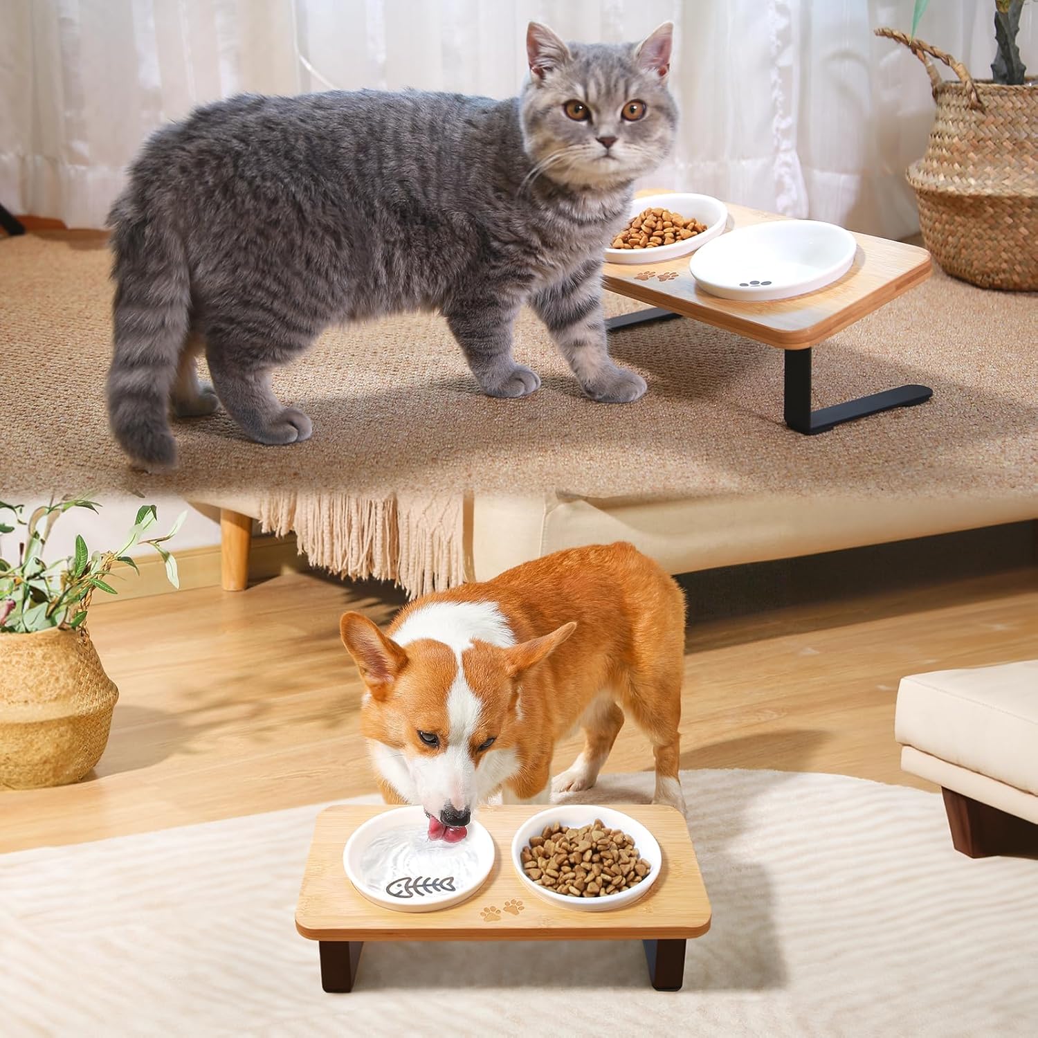 COMESOON Cuenco de cerámica para gatos de 5 pulgadas con patrón de hueso de pescado, cuenco de comida para gatos para alimentos y agua, platos