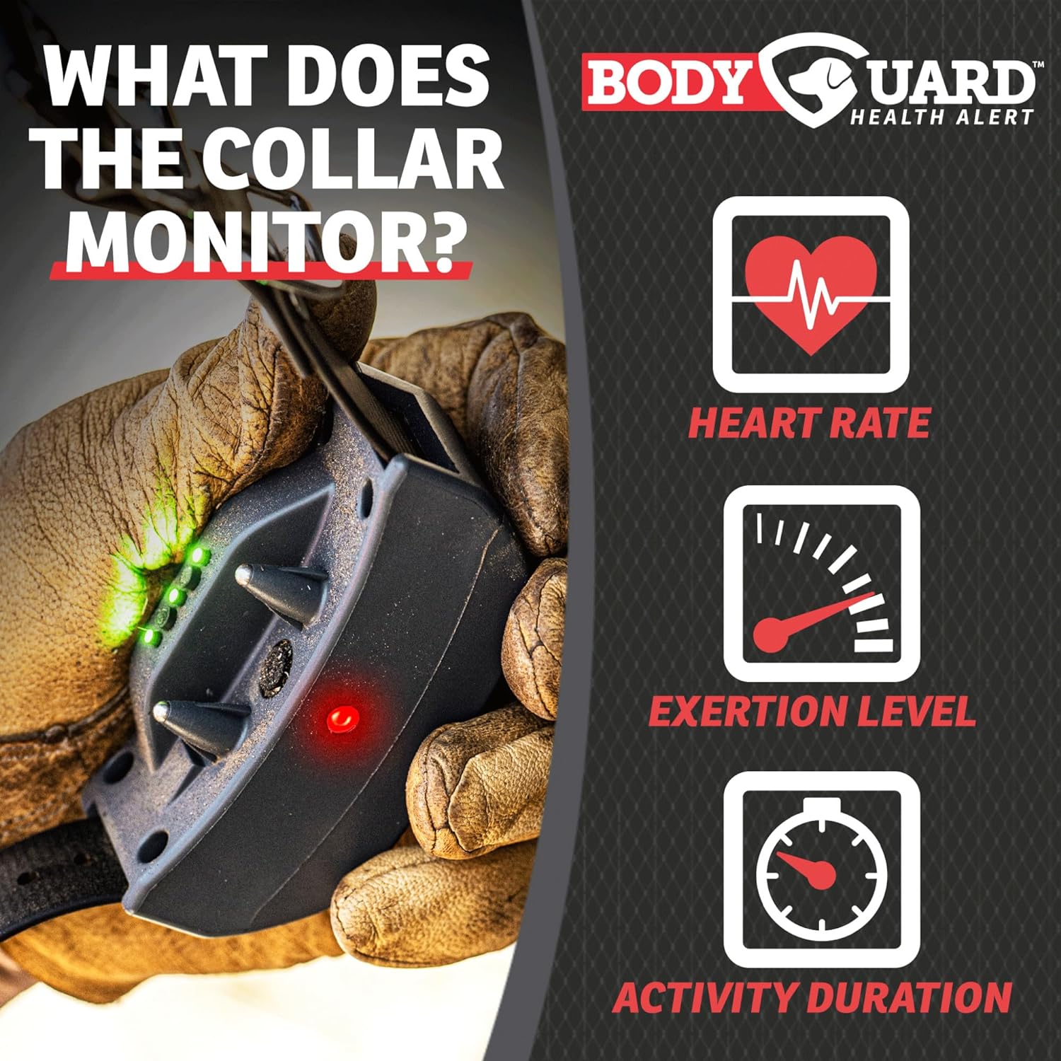 SportDOG Brand FieldSentinel 825 – Entrenador remoto con alertas de salud BodyGuard  El primer collar electrónico para perros con monitoreo de salud