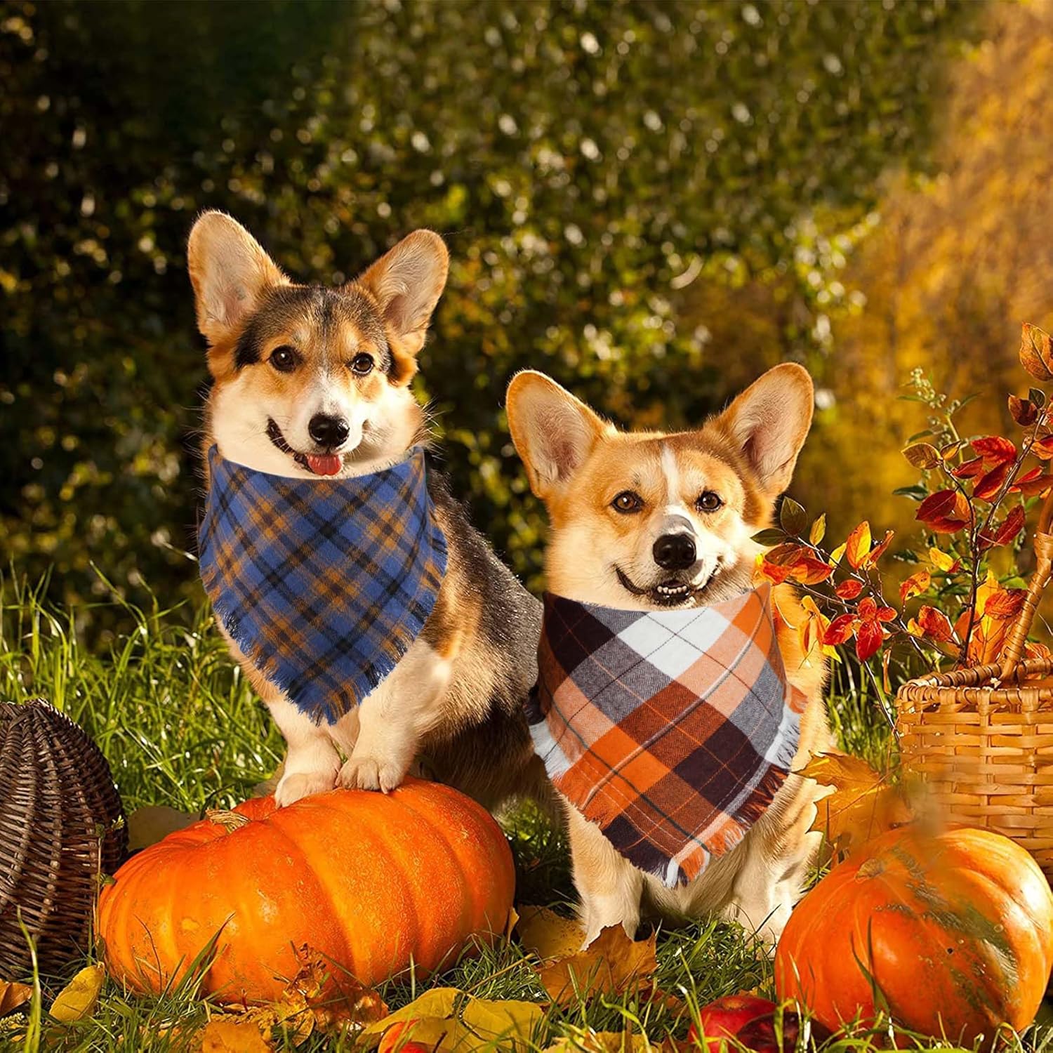 STMK Bandana de otoño para perro, paquete de 4 bandanas para perros con borlas y bordes para perros pequeños, medianos y grandes