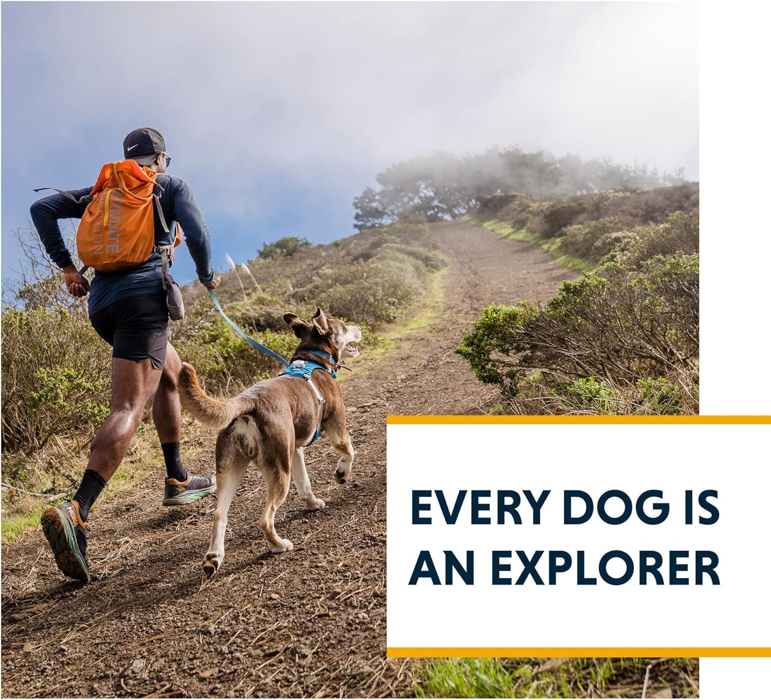 Ruffwear, Hi & Light, arnés ligero para perro diario, correr, caminar, senderismo, uso durante todo el día
