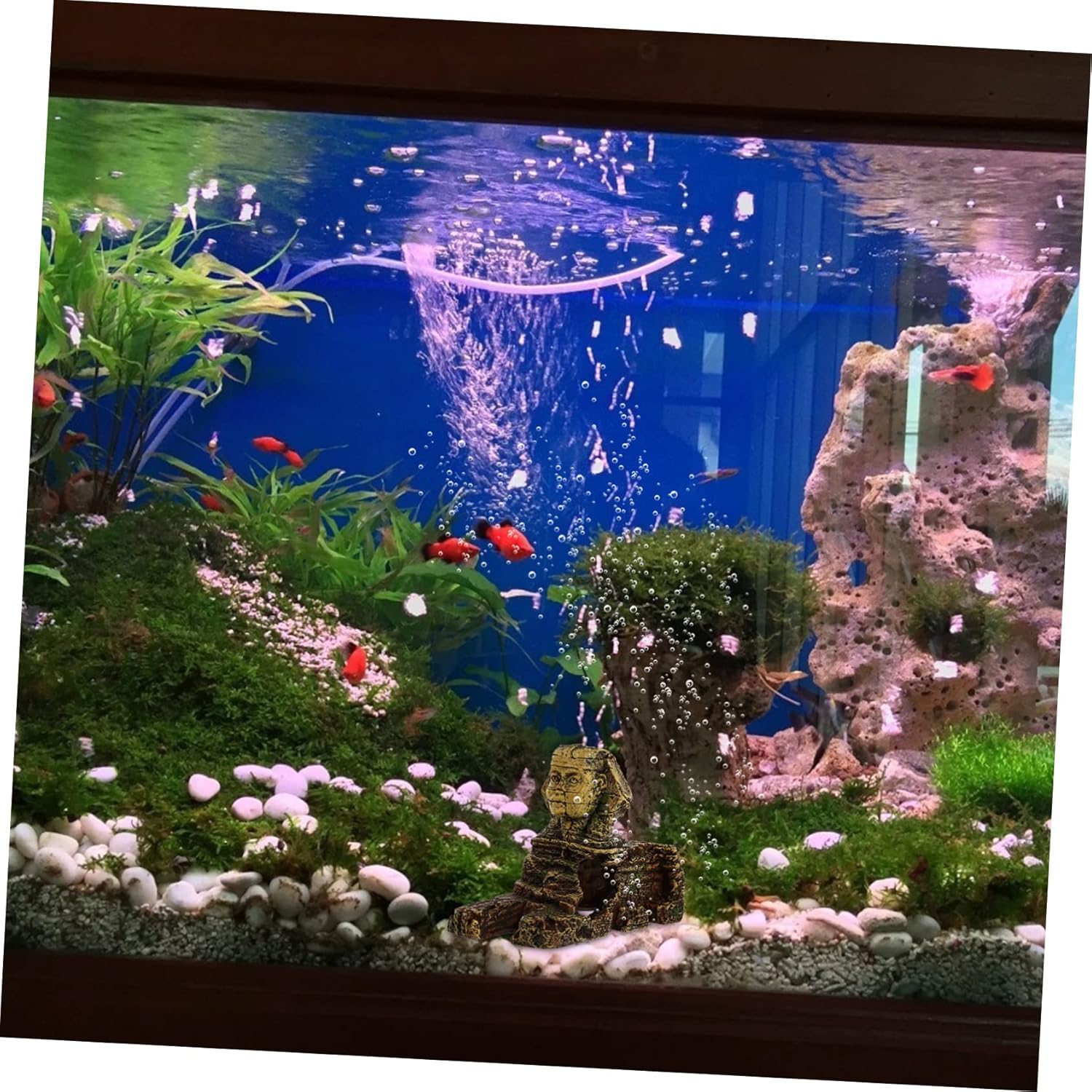 iplusmile 1 pieza de pecera adornos de paisajismo accesorios de oficina, decoración de animales, decoración de acuario egipcio, adornos de oficina,